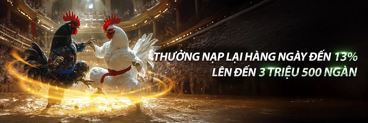 Hình ảnh tổng quan về cá cược thể thao sôi động tại f8bet1